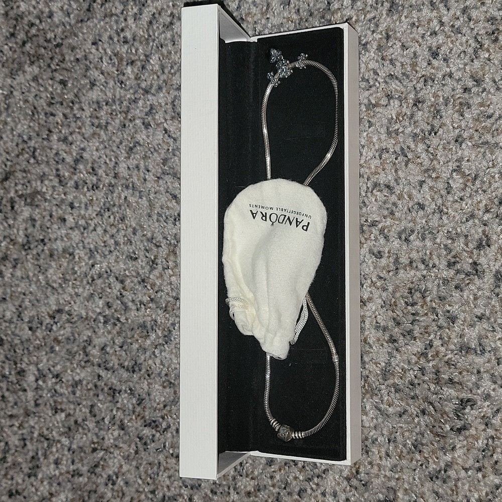 Brand new Pandora Necklace with 3 Charms